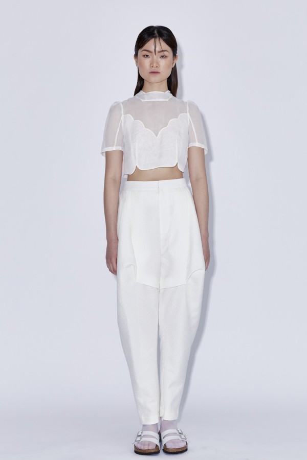 Magnolia Crop