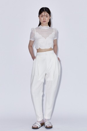Magnolia Crop